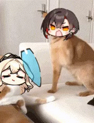 YvVT.gif