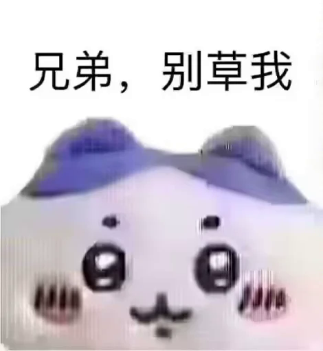 aMMF.png