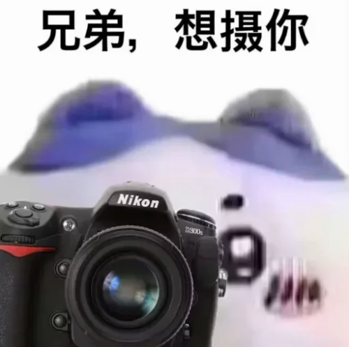 pN70.png